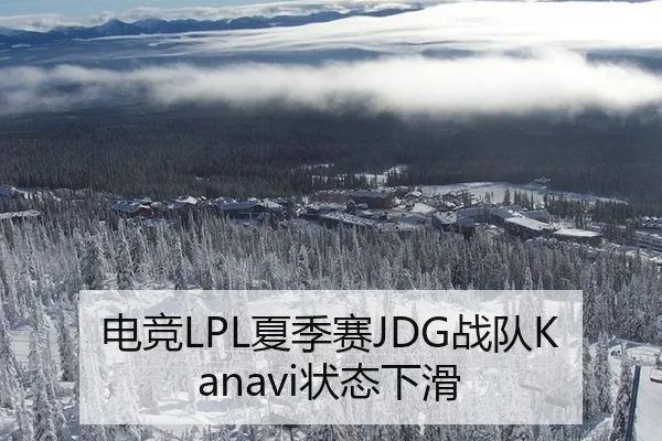 电竞LPL夏季赛JDG战队Kanavi状态下滑